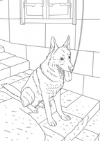 Sicily Colouring Book (Issue One) Illustrated by George Laing (Pre-Order) First Release of 50