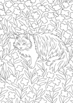 Sicily Colouring Book (Issue One) Illustrated by George Laing (Pre-Order) First Release of 50