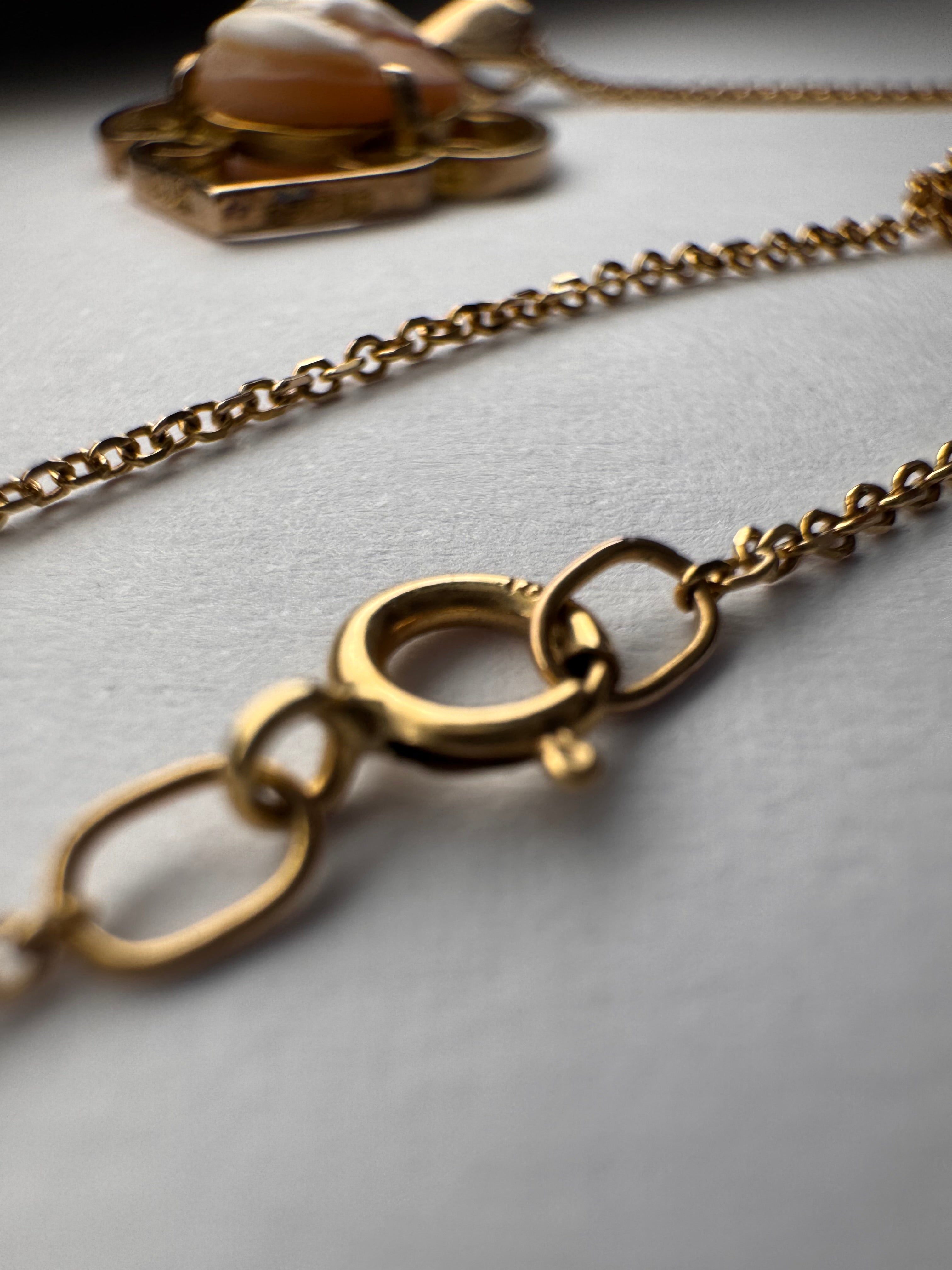 9ct Gold Cameo Pendant + 16in 9ct Gold Chain