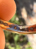 10ct Gold Diamond Eternity airing